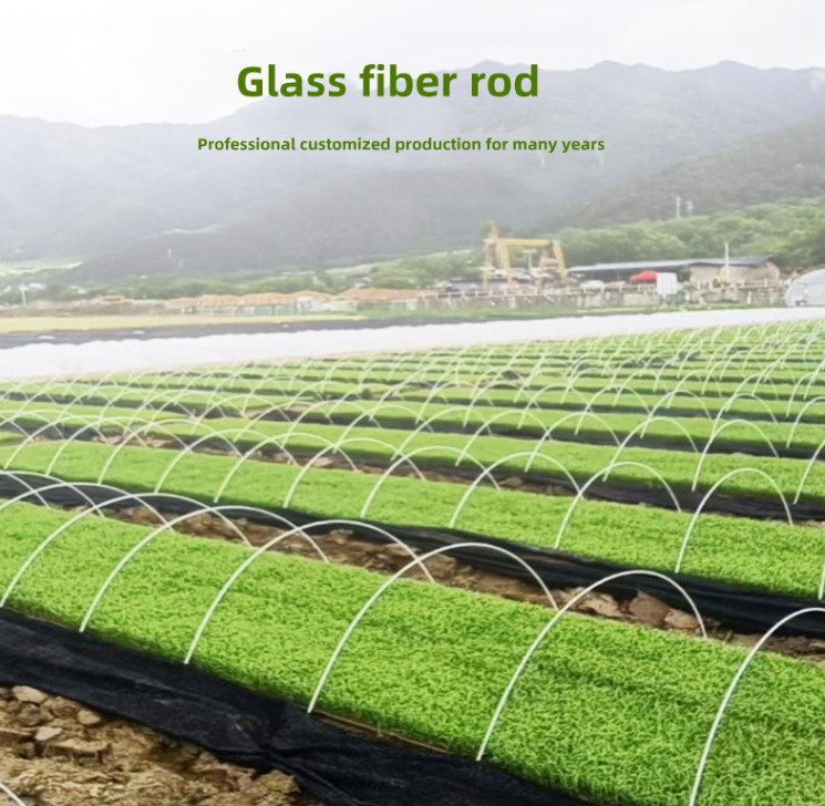 Lightweight Fiberglass FRP Rod For Agricultural Greenhouse Tunnel Support